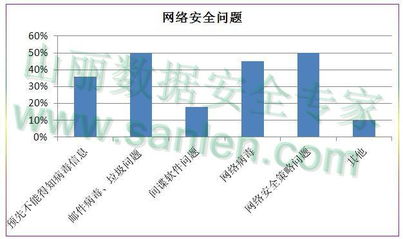網絡信息安全全面剖析 以核心防護應對多樣威脅，構建安全軟件開發新范式